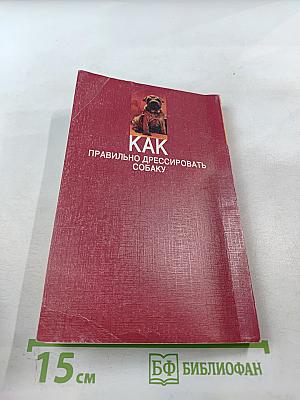 Как правильно дрессировать собаку