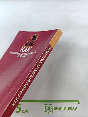 Как правильно дрессировать собаку