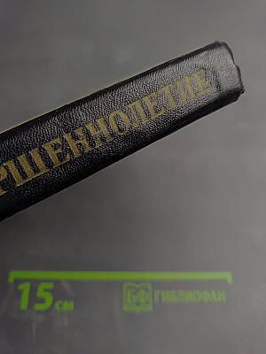 Совершеннолетие