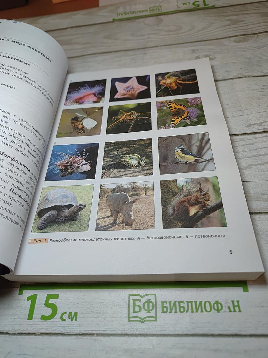 Биология. 7 класс