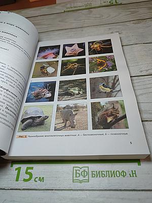 Биология. 7 класс