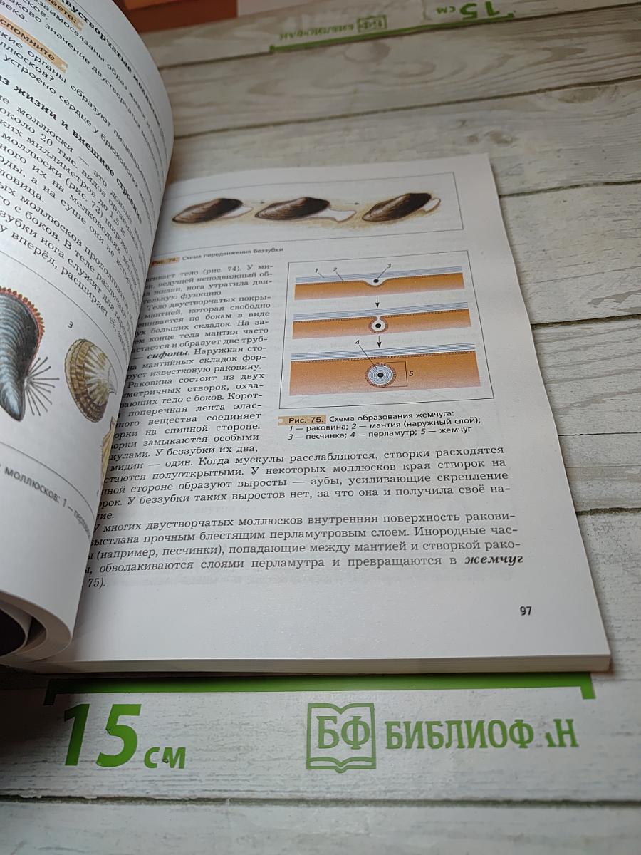 Биология. 7 класс