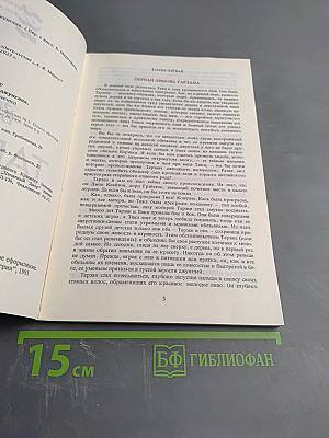 Тарзан. Приключения в джунглях