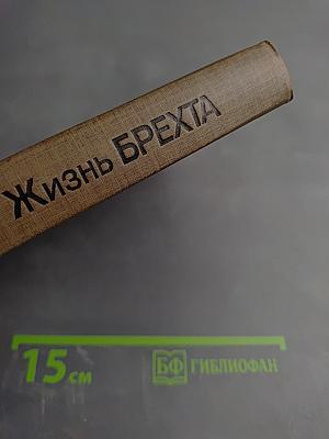 Жизнь Брехта