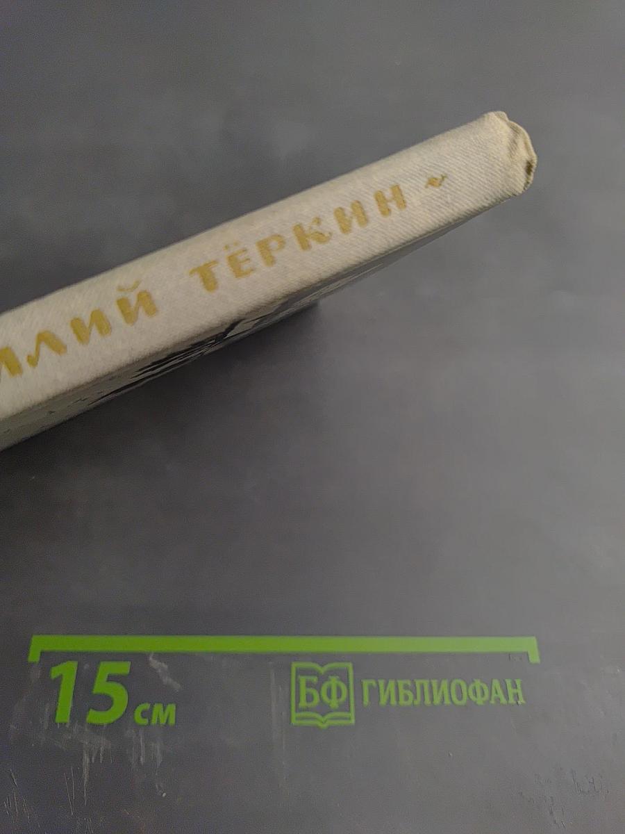 Василий Тёркин. Книга про бойца