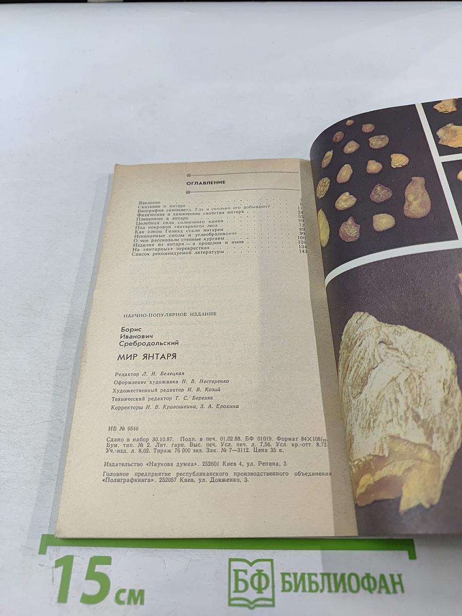 Мир янтаря