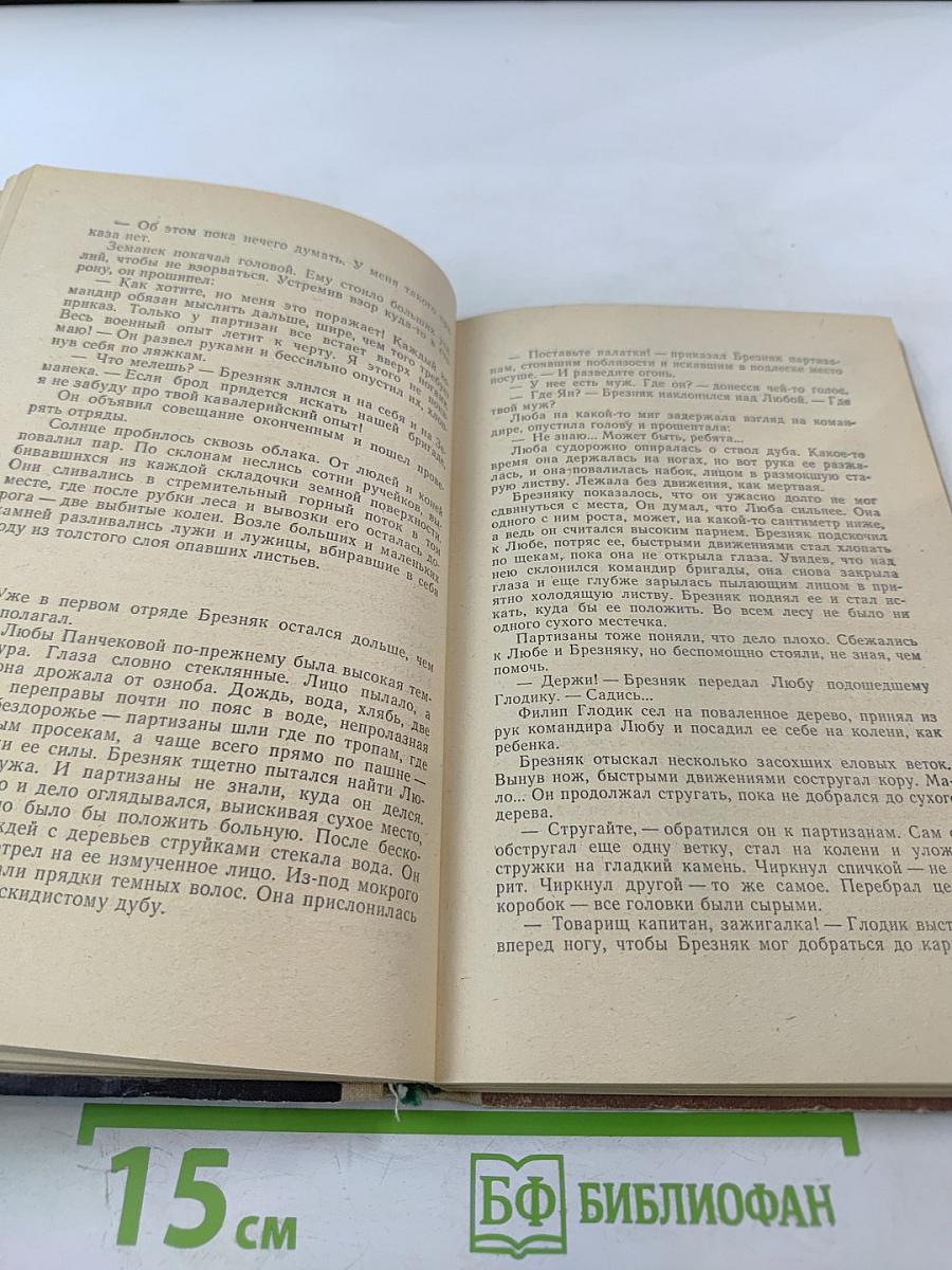 Встреча в полночь