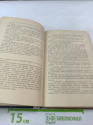 Встреча в полночь