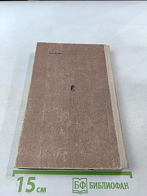 Встреча в полночь