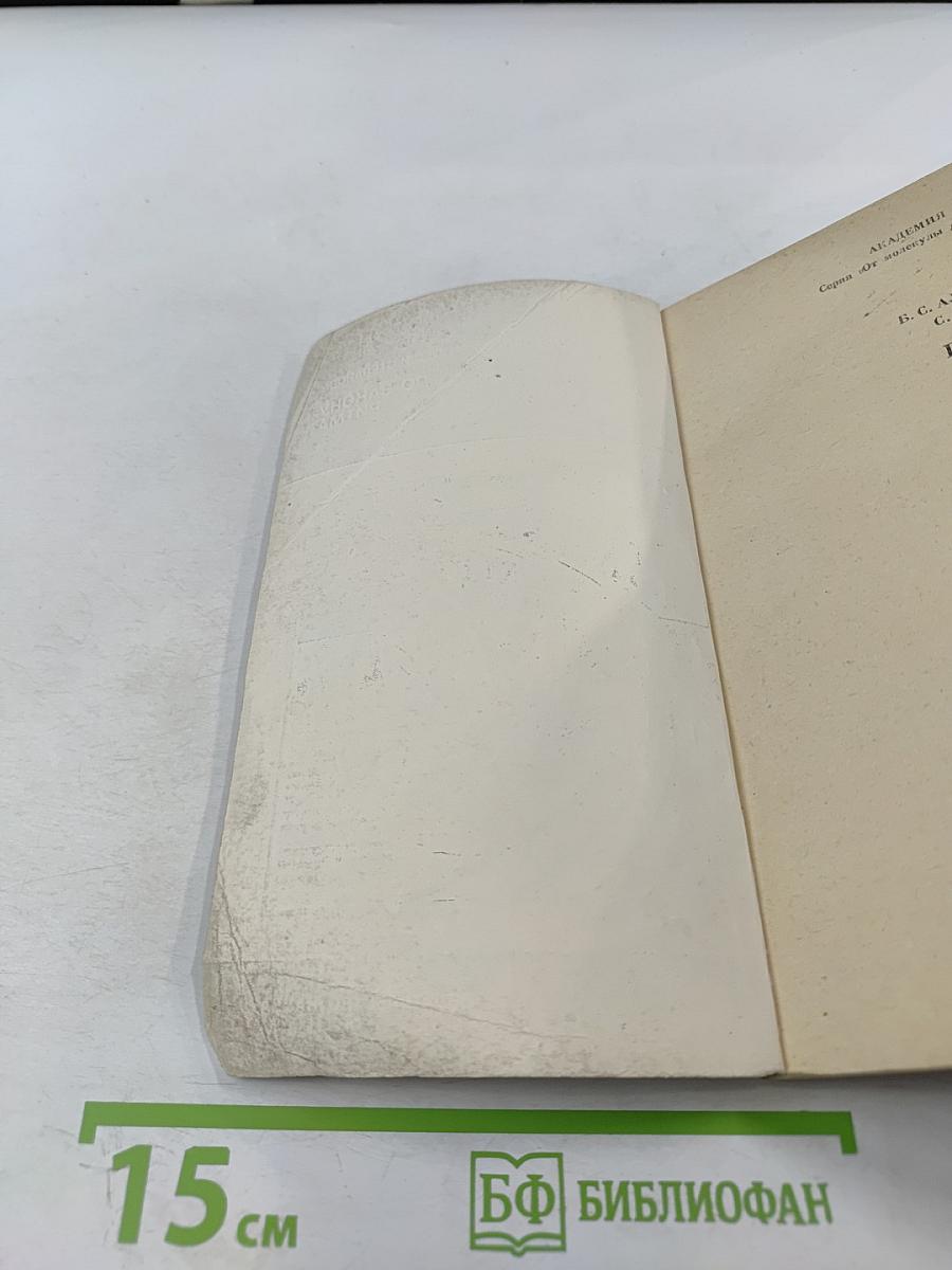 По закону ритма