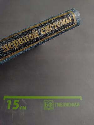 Заболевания периферической нервной системы