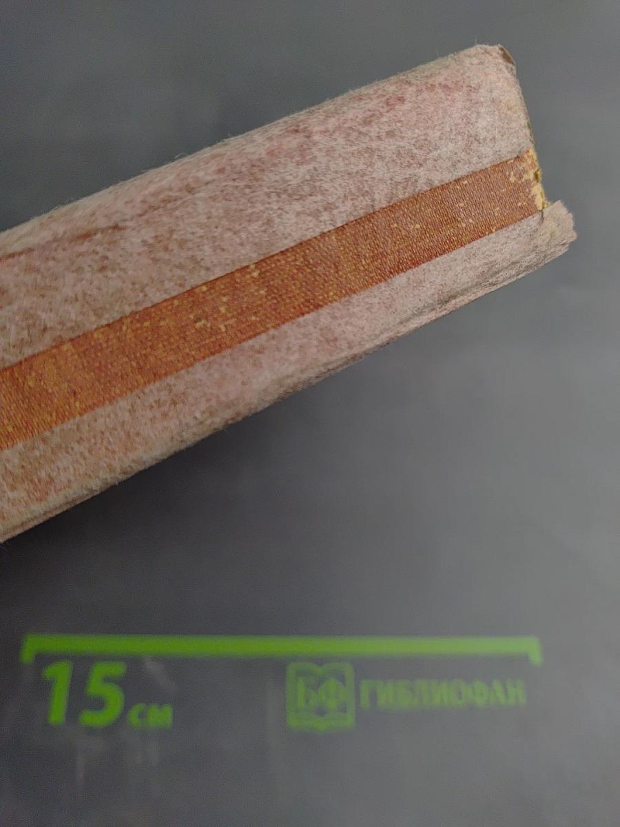 История Картинной Галереи Эрмитажа (1764-1917)