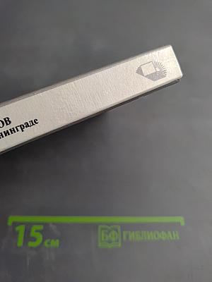 Николай Симонов в Петрограде - Ленинграде