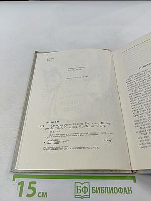 Каникулы Эрика