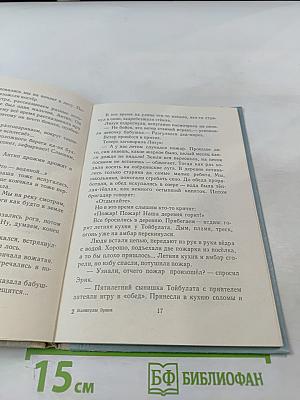 Каникулы Эрика