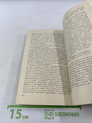 Альберт Швейцер. Картина жизни