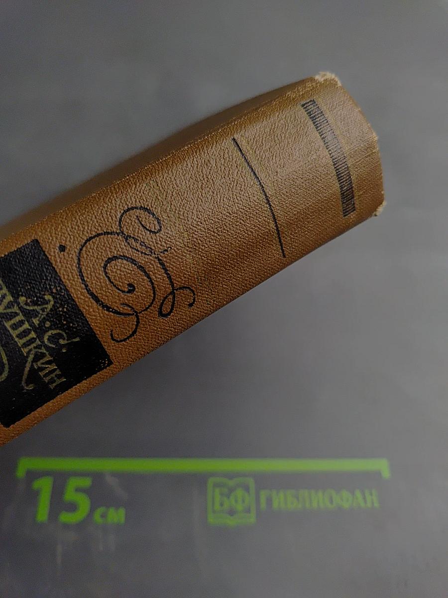 Избранные произведения: Стихотворения. Поэмы. Драмы. Сказки.