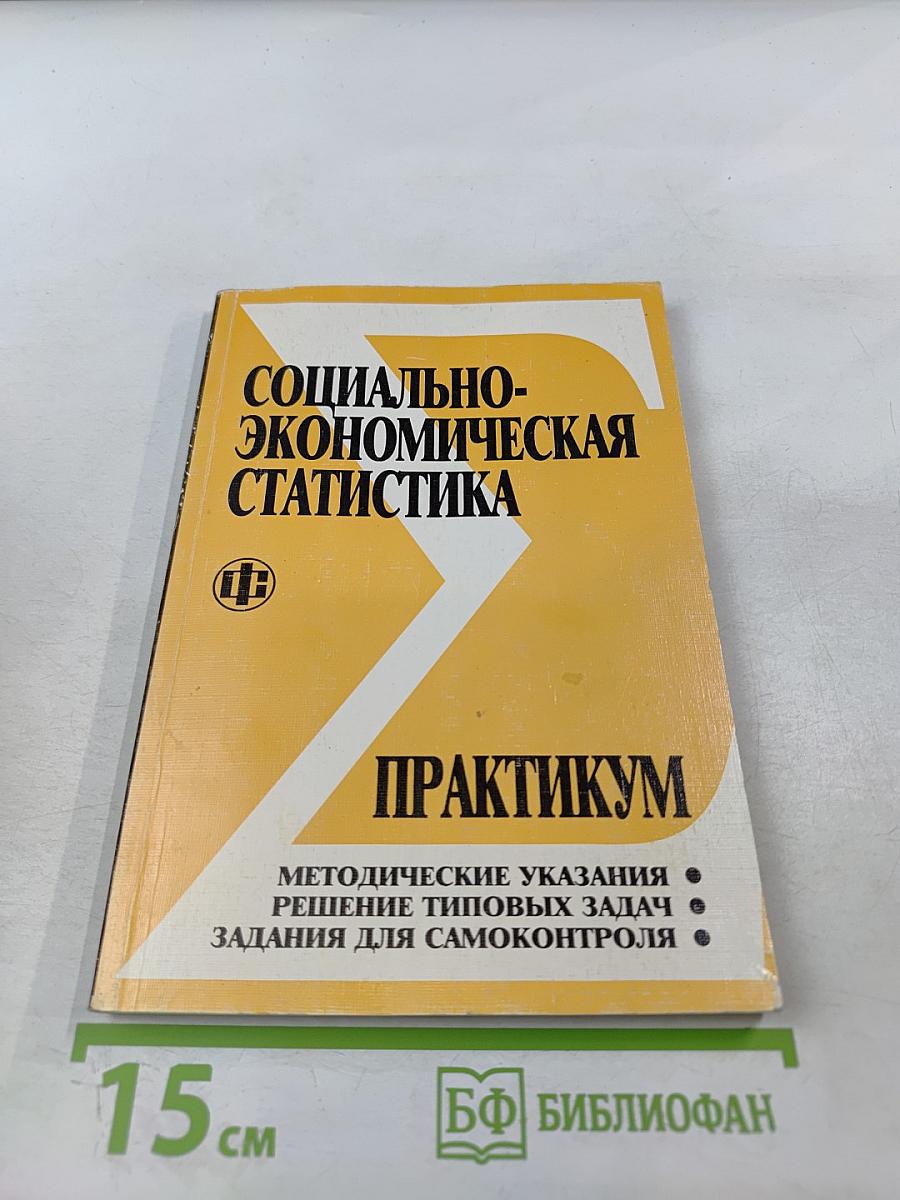 Социально-экономическая статистика: Практикум