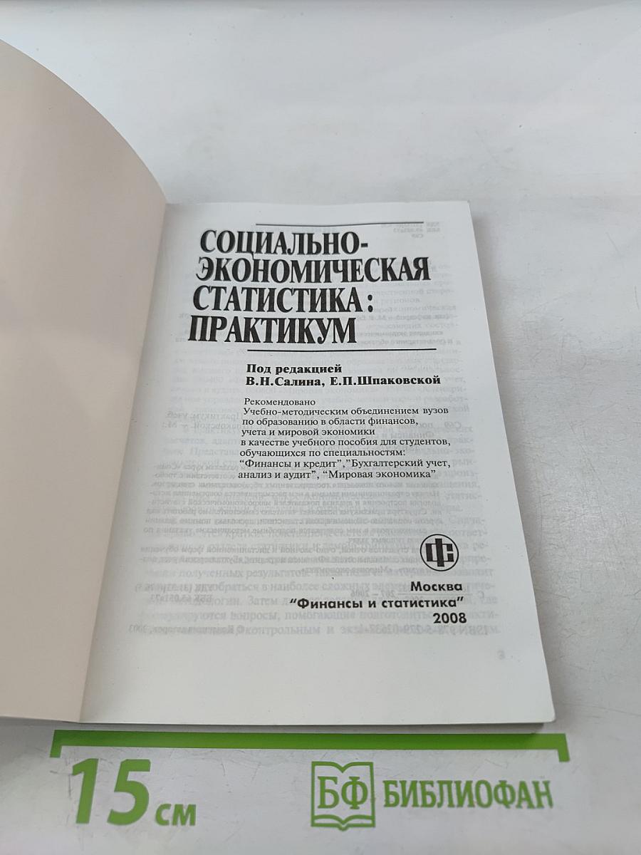 Социально-экономическая статистика: Практикум