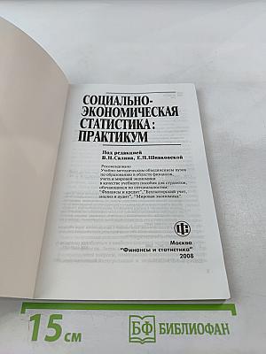 Социально-экономическая статистика: Практикум