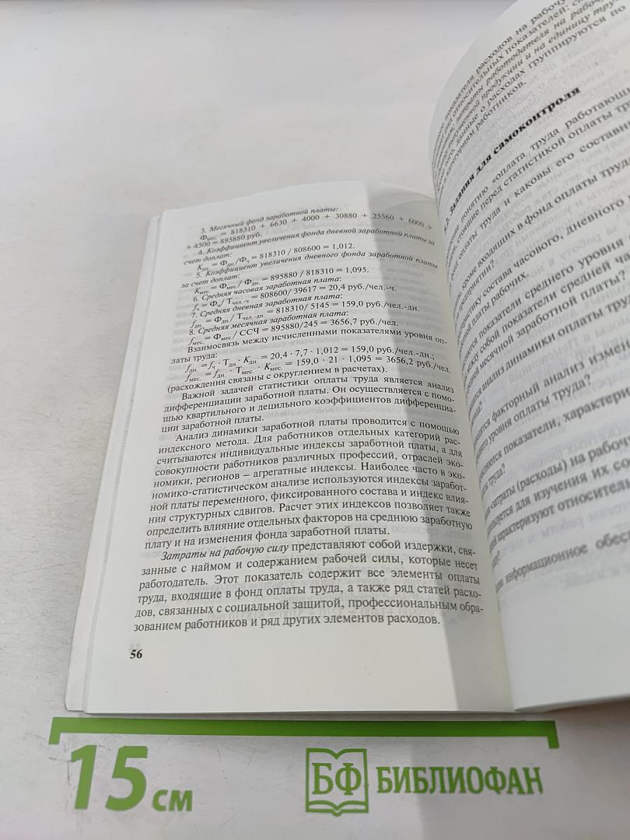 Социально-экономическая статистика: Практикум