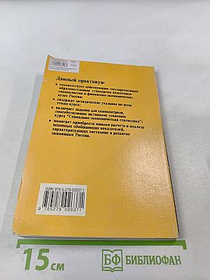 Социально-экономическая статистика: Практикум