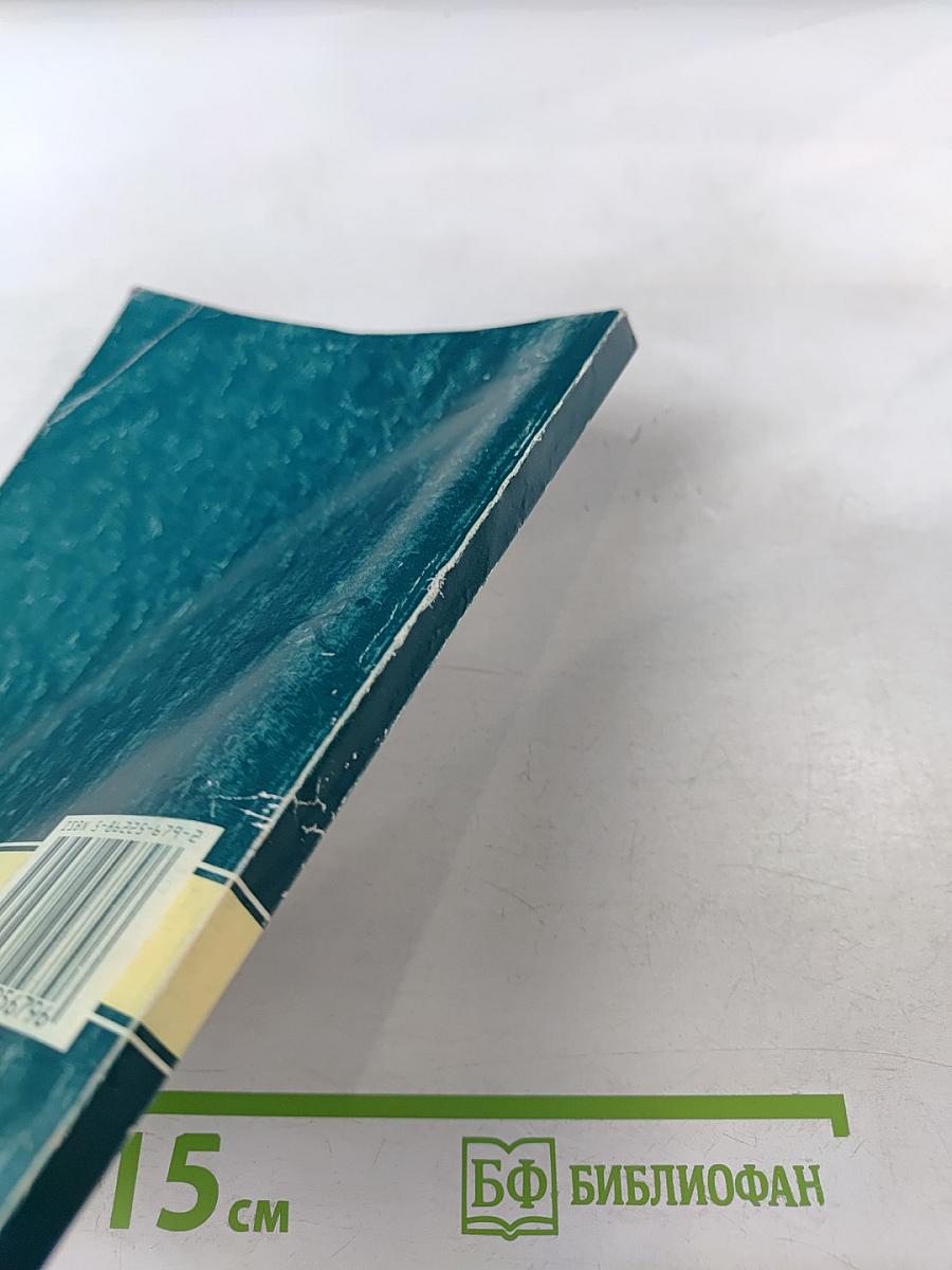 Бюджетный процесс в Российской Федерации. Учебное пособие