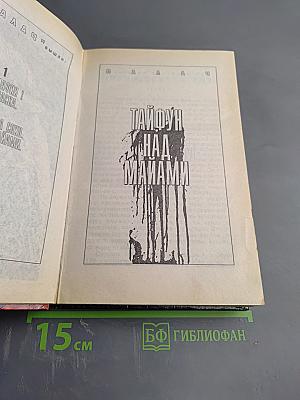 Наступление на Сохо. Тайфун над Майами