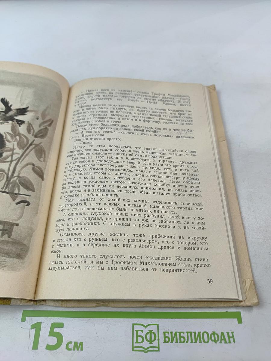 Золотой луг