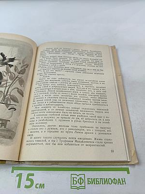 Золотой луг