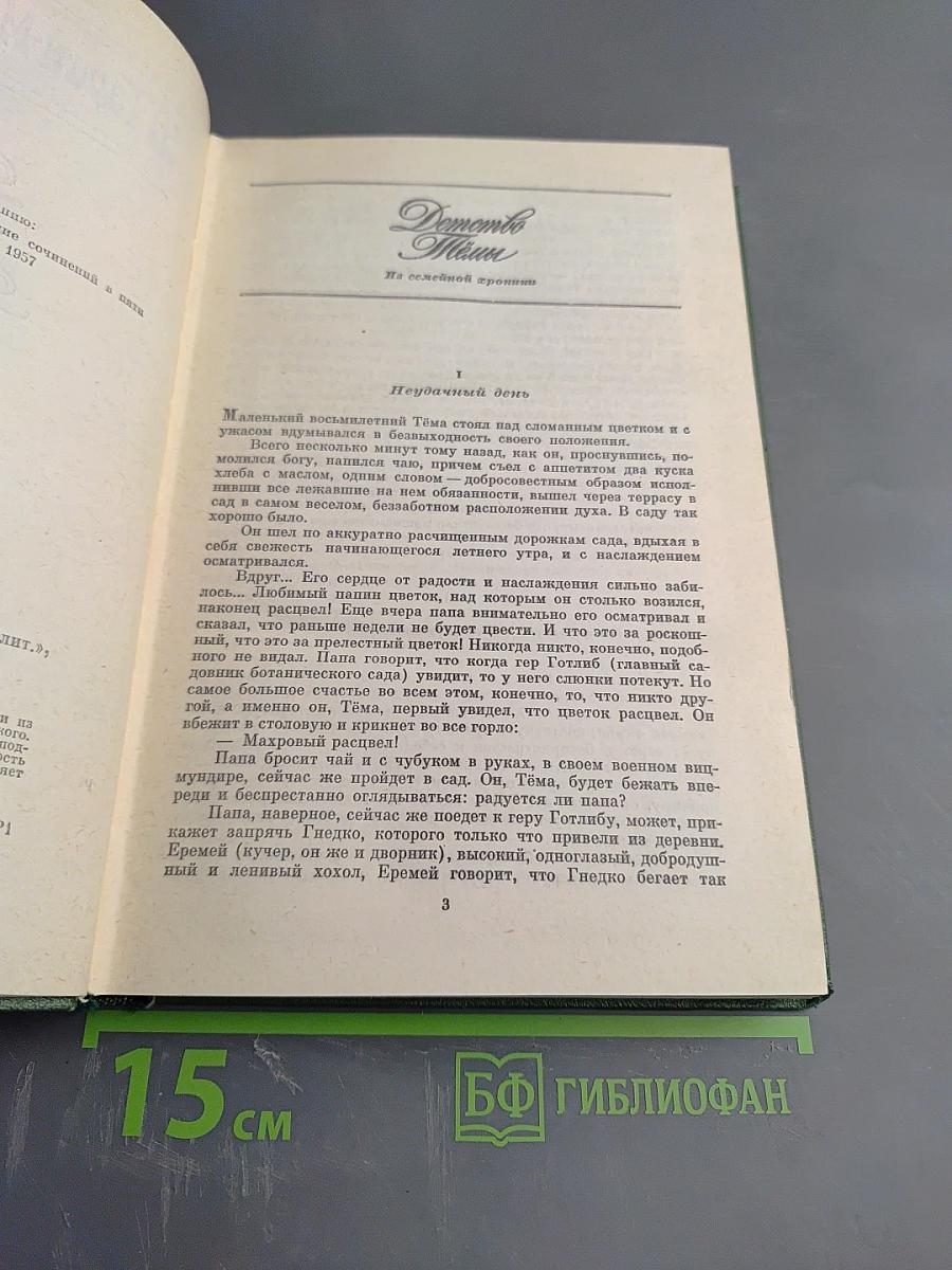 Детство Тёмы. Гимназисты