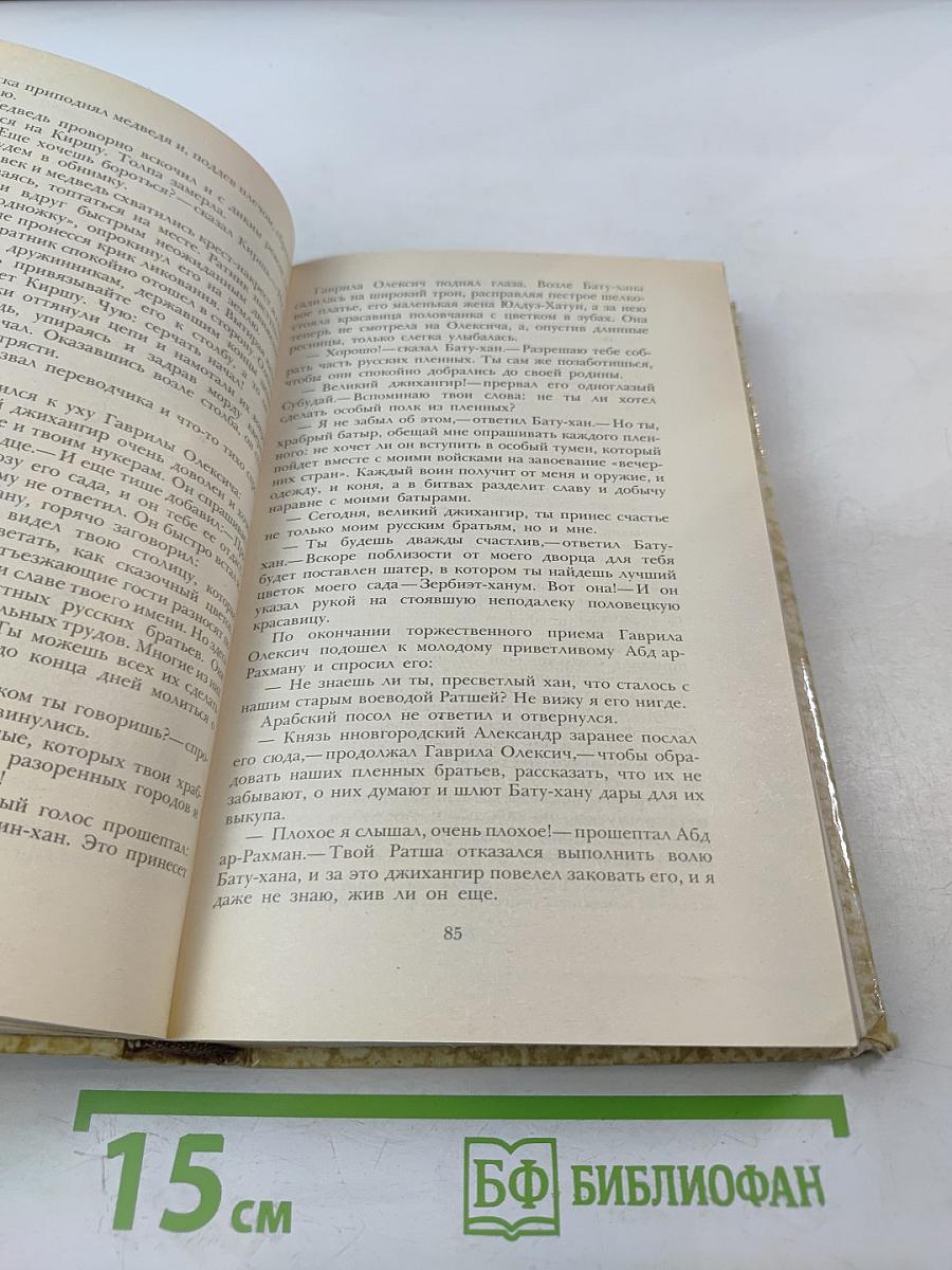 К "последнему морю" Юность полководца