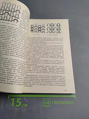 Трикотажные, галантерейные и парфюмерно-косметические товары