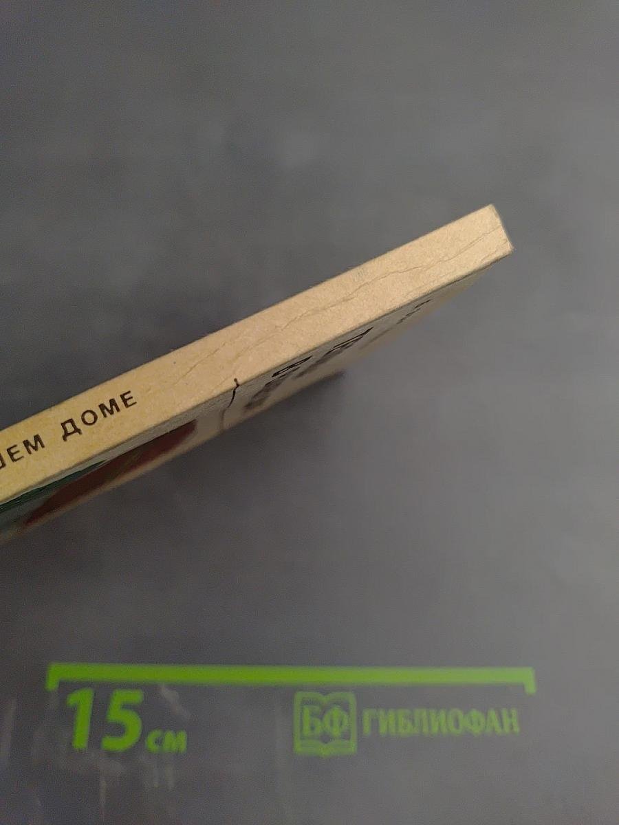 Теплица в вашем доме