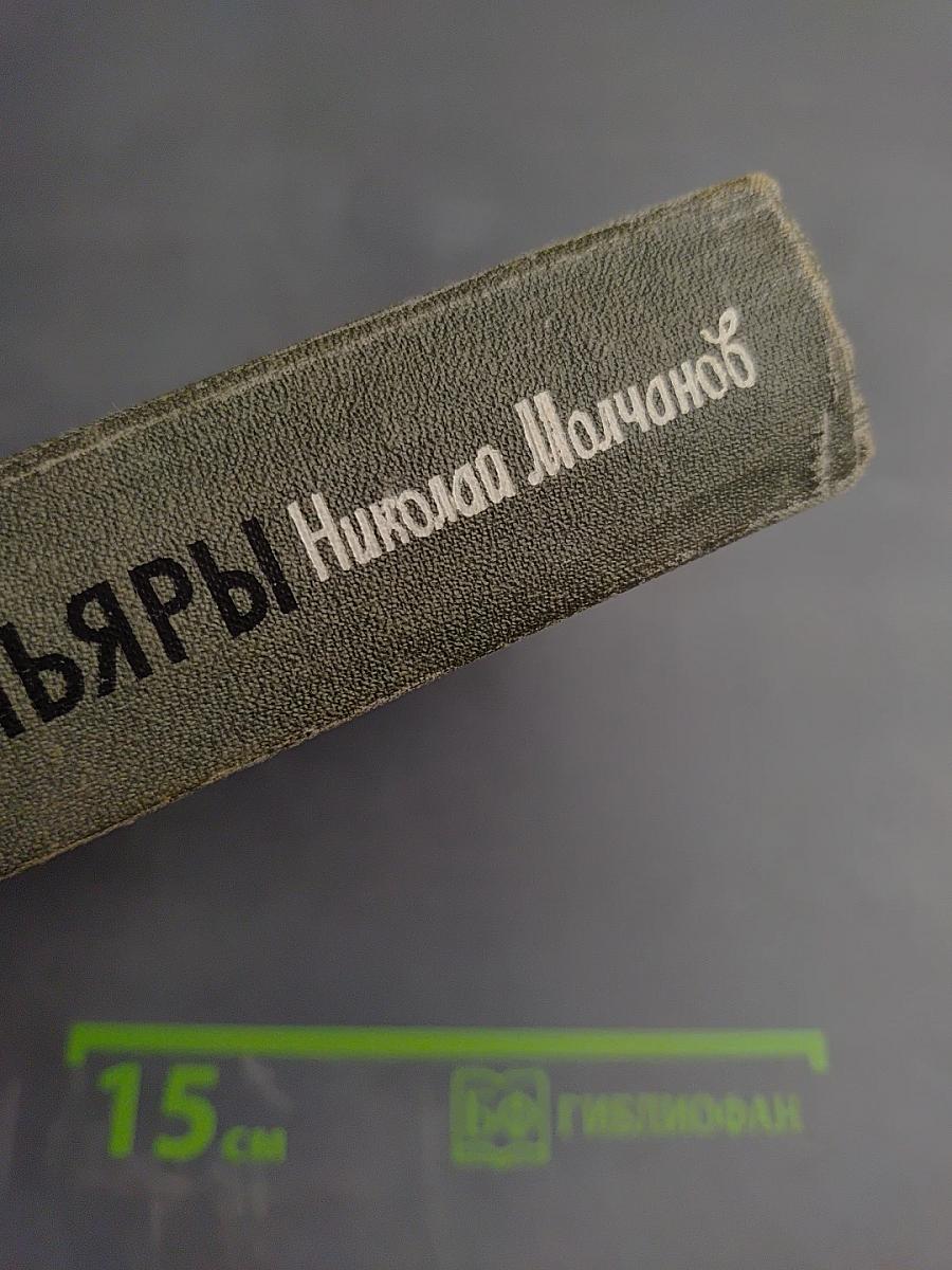 Монтаньяры