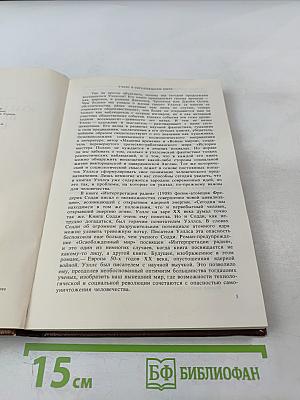 Вглядываясь в грядущее