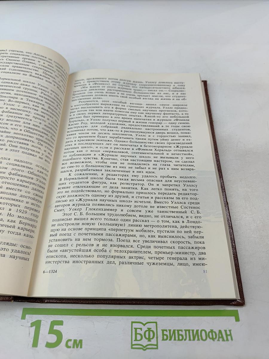 Вглядываясь в грядущее