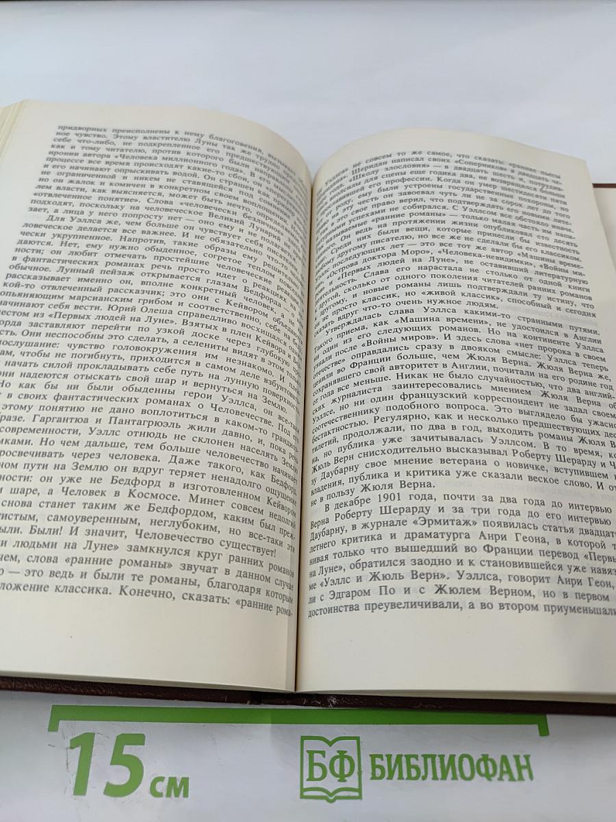 Вглядываясь в грядущее