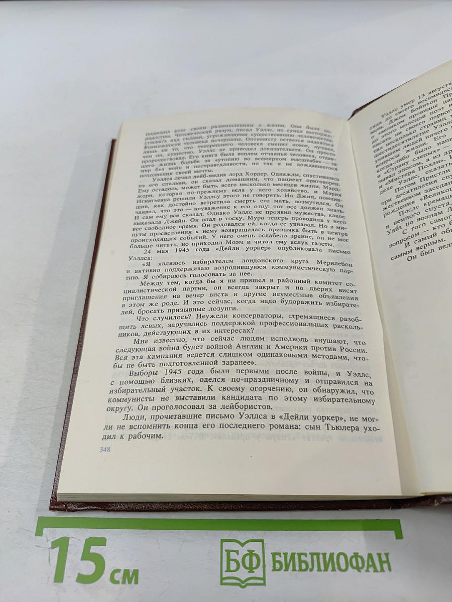 Вглядываясь в грядущее