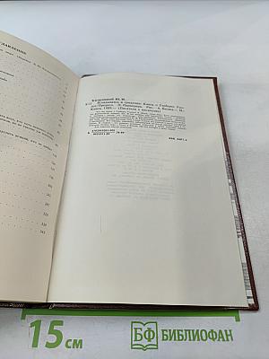 Вглядываясь в грядущее