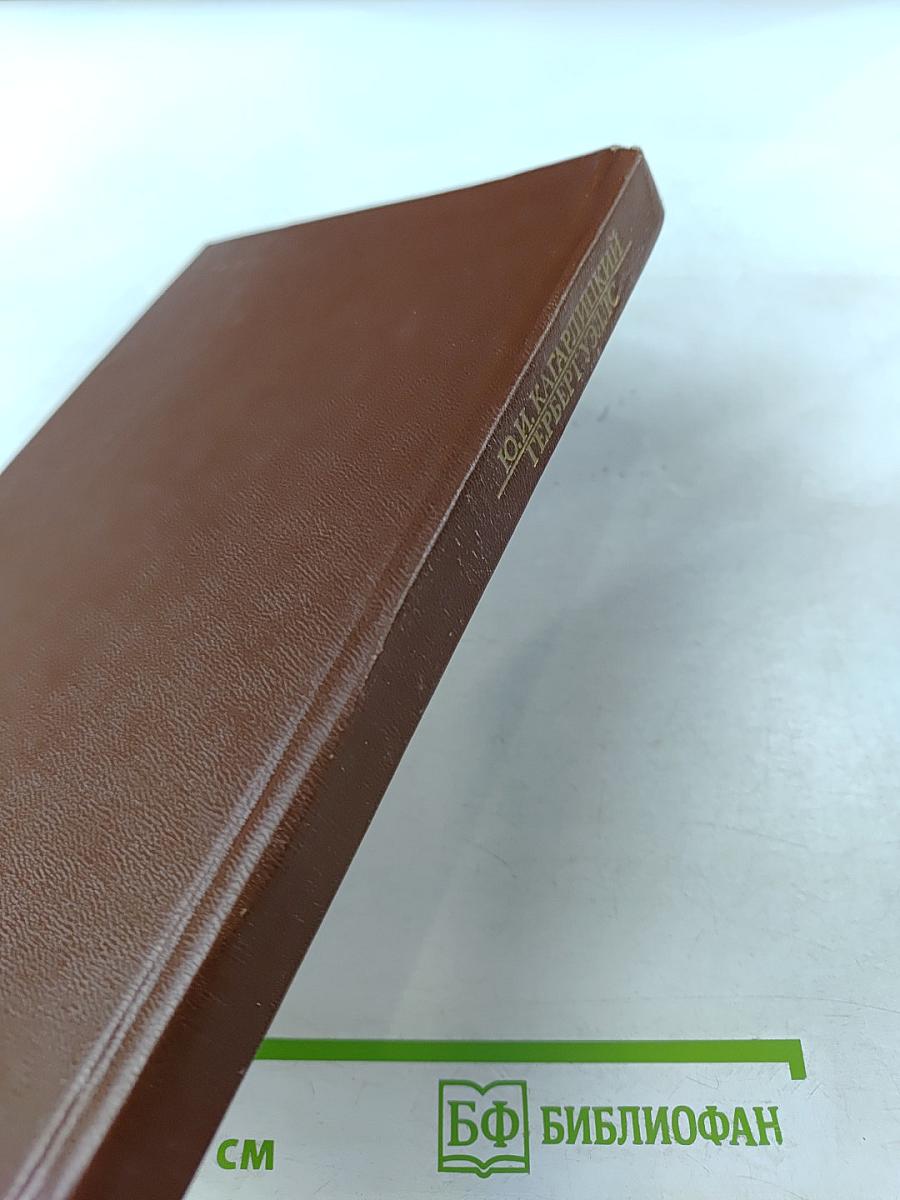 Вглядываясь в грядущее