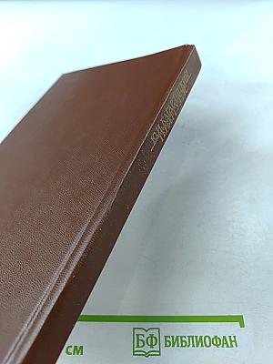 Вглядываясь в грядущее