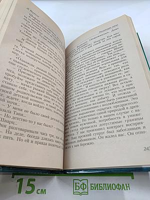 Искушение Ворона