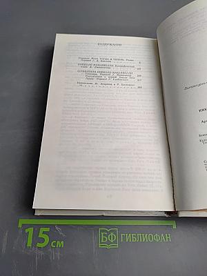 Жизнь Никколо Макьявелли