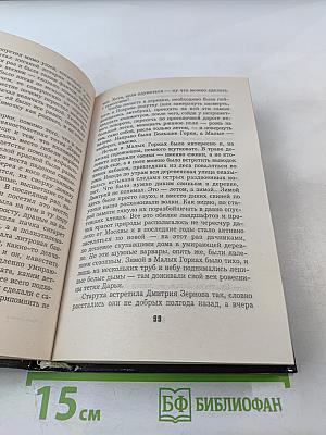 Убрать Слепого