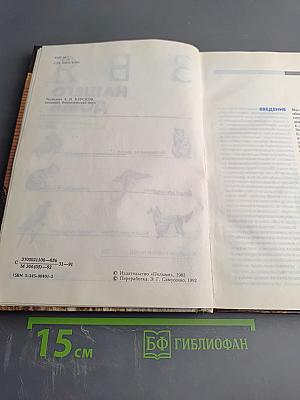 Друзья нашего дома