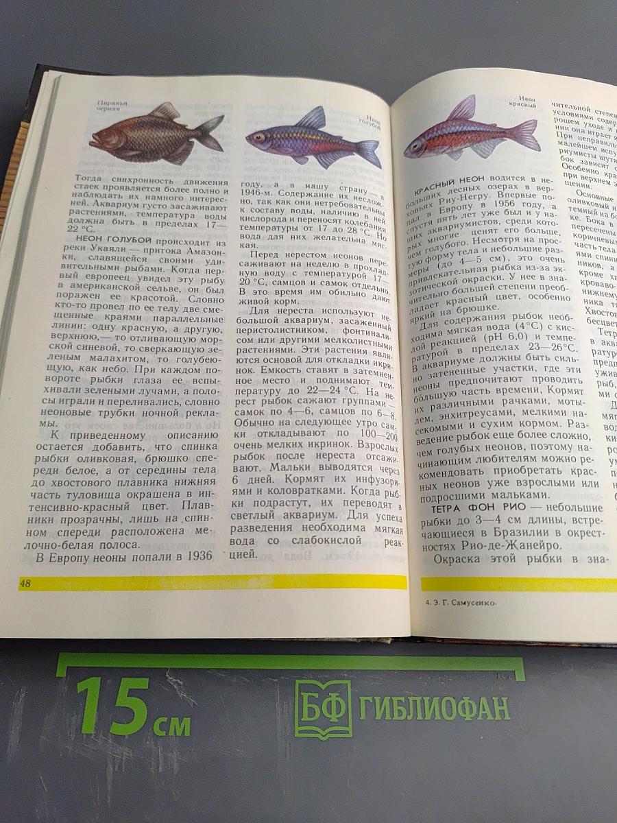 Друзья нашего дома