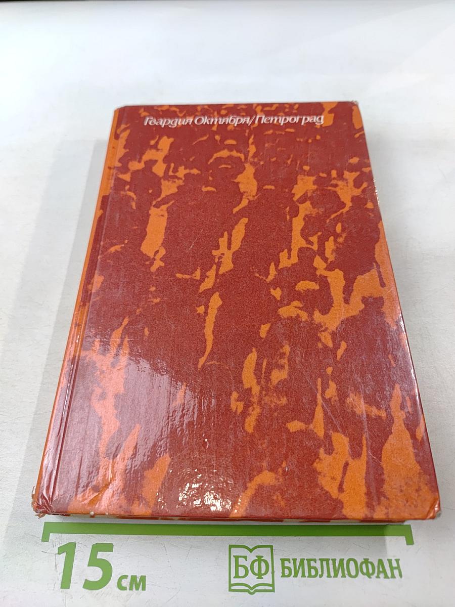 Гвардия Октября. Петроград