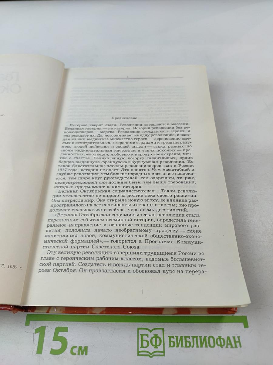 Гвардия Октября. Петроград