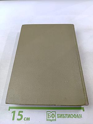 Великая Отечественная. Звезда. В окопах Сталинграда. Солдат из Казахстана